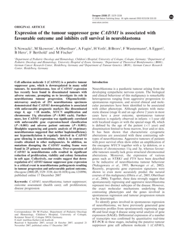 Expression of the Tumour Suppressor Gene CADM1 Is Associated with Favourable Outcome and Inhibits Cell Survival in Neuroblastoma