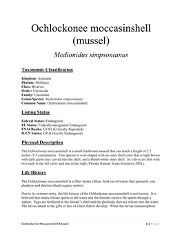 Ochlockonee Moccasinshell (Mussel)