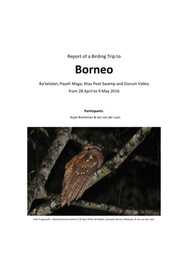 Birds Seen in Sarawak and Sabah, Borneo