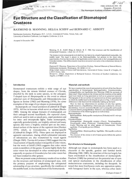 Eye Structure and the Classification of Stomatopod Crustacea