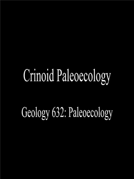 Crinoid Paleoecology