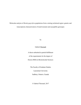 Molecular Analysis of Betula Papyrifera Populations from a Mining Reclaimed Region: Genetic And