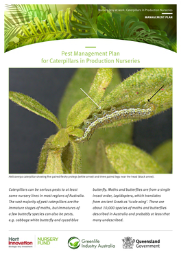 Pest Management Plan for Caterpillars in Production Nurseries