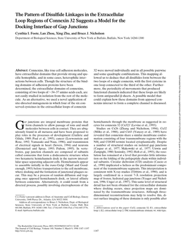 The Pattern of Disulfide Linkages in the Extracellular Loop Regions of Connexin 32 Suggests a Model for the Docking Interface of Gap Junctions Cynthia I