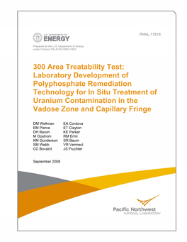 300 Area Treatability Test: Laboratory Development of Polyphosphate