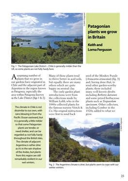 Patagonian Plants We Grow in Britain Keith and Lorna Ferguson