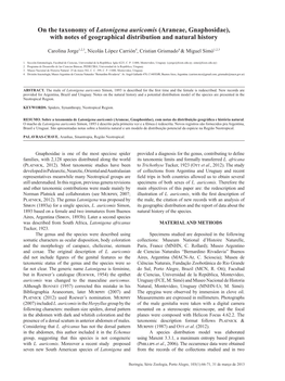 On the Taxonomy of Latonigena Auricomis (Araneae, Gnaphosidae), with Notes of Geographical Distribution and Natural History