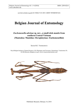Belgian Journal of Entomology Euchomenella Adwinae Sp. Nov., A
