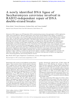 A Newly Identified DNA Ligase of Saccharomyces Cerevisiae Involved in RAD52-Independent Repair of DNA Double-Strand Breaks