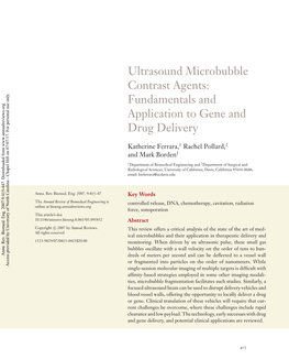 Ultrasound Microbubble Contrast Agents: Fundamentals and Application to Gene and Drug Delivery