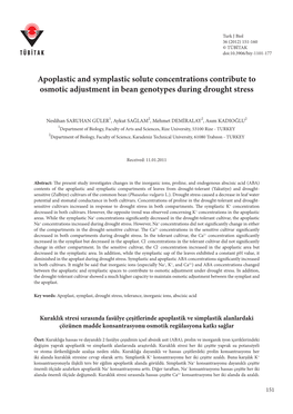 Apoplastic and Symplastic Solute Concentrations Contribute to Osmotic Adjustment in Bean Genotypes During Drought Stress