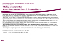 Site Improvement Plan Breney Common and Goss & Tregoss Moors