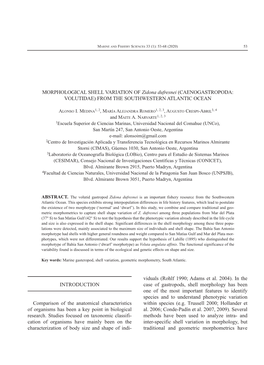 MORPHOLOGICAL SHELL VARIATION of Zidona Dufresnei (CAENOGASTROPODA: VOLUTIDAE) from the SOUTHWESTERN ATLANTIC OCEAN