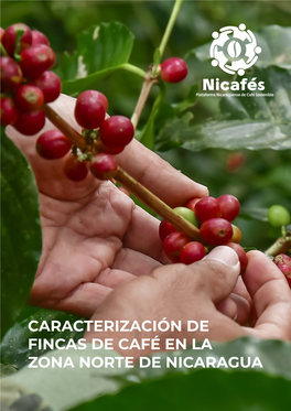 Caracterización De Fincas De Café En La Zona Norte De Nicaragua