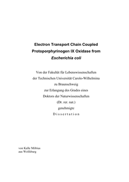 Electron Transport Chain Coupled Protoporphyrinogen IX Oxidase from Escherichia Coli