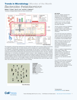 Bacteroides Thetaiotaomicron