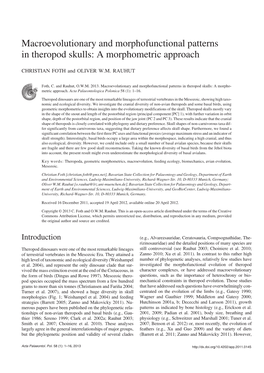 Macroevolutionary and Morphofunctional Patterns in Theropod Skulls: a Morphometric Approach