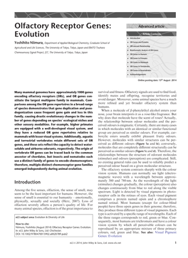 "Olfactory Receptor Genes: Evolution"