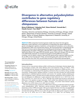 Divergence in Alternative Polyadenylation Contributes to Gene