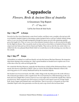 Cappadocia Wildlife Tour Report 2013