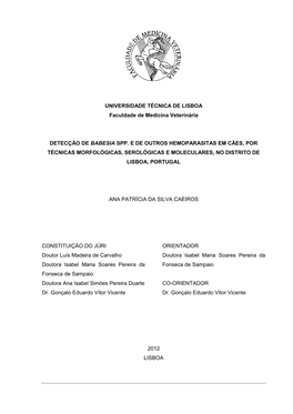 Detecção De Babesia Spp. E De Outros Hemoparasitas Em Cães, Por Técnicas Morfológicas, Serológicas E Moleculares, No Distrito De Lisboa, Portugal