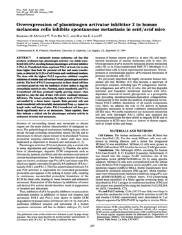 Overexpression of Plasminogen Activator Inhibitor 2 in Human Melanoma Cells Inhibits Spontaneous Metastasis in Scid/Scid Mice BARBARA M