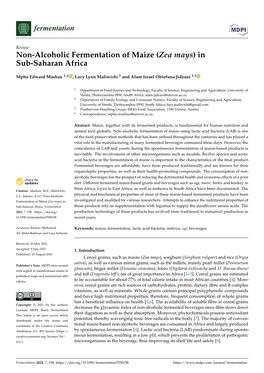 Non-Alcoholic Fermentation of Maize (Zea Mays) in Sub-Saharan Africa