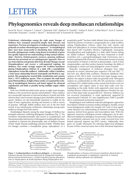 Phylogenomics Reveals Deep Molluscan Relationships