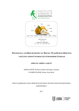 Physiology and Biochemistry of 'Rocha' Pear During