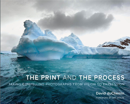 David Duchemin the Print and the Process: Taking Compelling Photographs from Vision to Expression David Duchemin