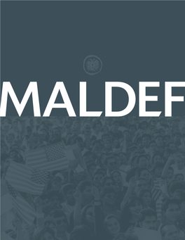 Maldef Ar20082009.Pdf