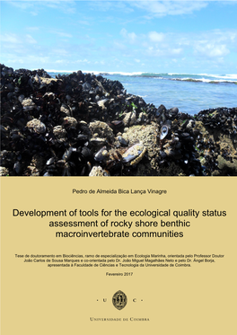 Development of Tools for the Ecological Quality Status Assessment of Rocky Shore Benthic Macroinvertebrate Communities