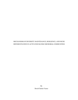 Mechanisms of Diversity Maintenance, Resilience, and Niche Differentiation in Activated Sludge Microbial Communities