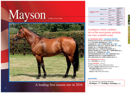 A Leading First Season Sire in 2016 80,000Gns (X 2), 70,000Gns, 58,000Gns, Etc