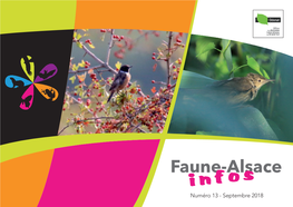 Faune-Alsace