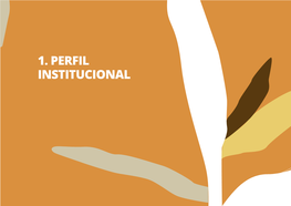 Perfil Institucional