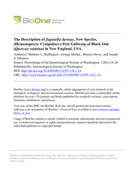 The Description of Zapatella Davisae, New Species, (Hymenoptera: Cynipidae) a Pest Gallwasp of Black Oak (Quercus Velutina) in New England, USA