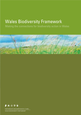 Wales Biodiversity Framework Making the Connections for Biodiversity Action in Wales Wales Biodiversity Framework