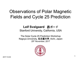 Observations of Polar Magnetic Fields and Cycle 25 Prediction