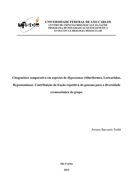 Siluriformes, Loricariidae, Hypostominae) : Contribuição Da Fração Repetitiva Do Genoma Para a Diversidade Cromossômica Do Grupo / Josiane Baccarin Traldi