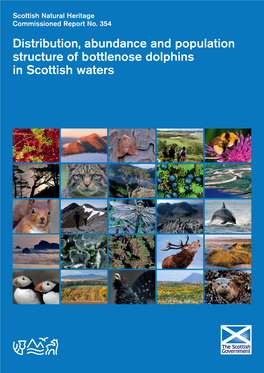 Bottlenose Dolphins in Scottish Waters