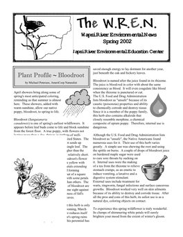 Wapsi River Environmental News Spring 2002