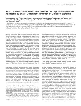 Nitric Oxide Protects PC12 Cells from Serum Deprivation-Induced Apoptosis by Cgmp-Dependent Inhibition of Caspase Signaling