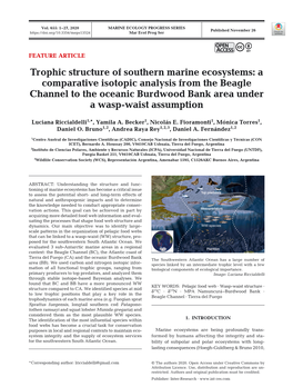 Trophic Structure of Southern Marine Ecosystems