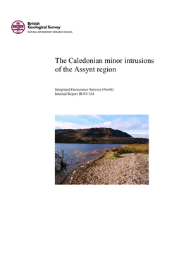 The Caledonian Minor Intrusions of the Assynt Region