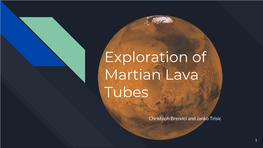 Exploration of Martian Lava Tubes