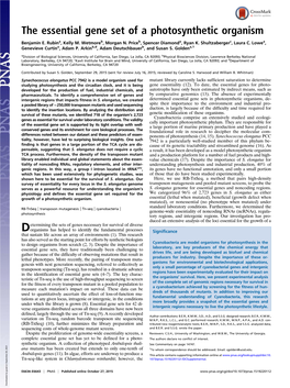 The Essential Gene Set of a Photosynthetic Organism