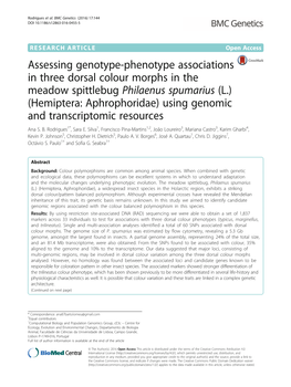 Assessing Genotype-Phenotype Associations in Three Dorsal Colour