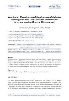 A Review of Rheocricotopus (Psilocricotopus) Chalybeatus Species Group from China, with the Description of Three New Species (Diptera, Chironomidae)