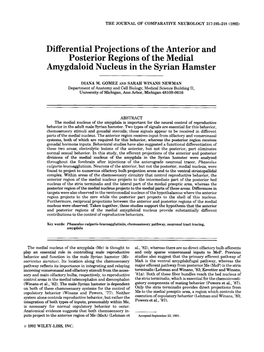 Differential Projections of the Anterior and Posterior Regions of the Medial Amygdaloid Nucleus in the Syrian Hamster